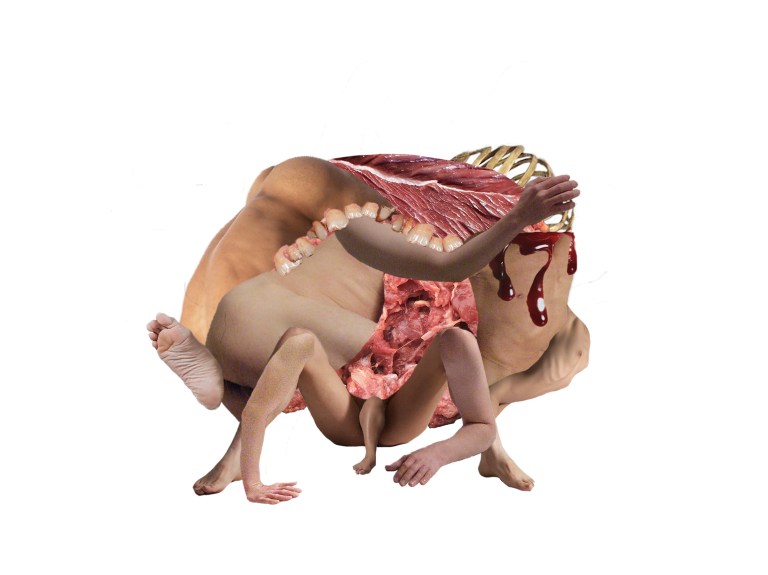 Image 21-11-2018 at 17.25.JPG